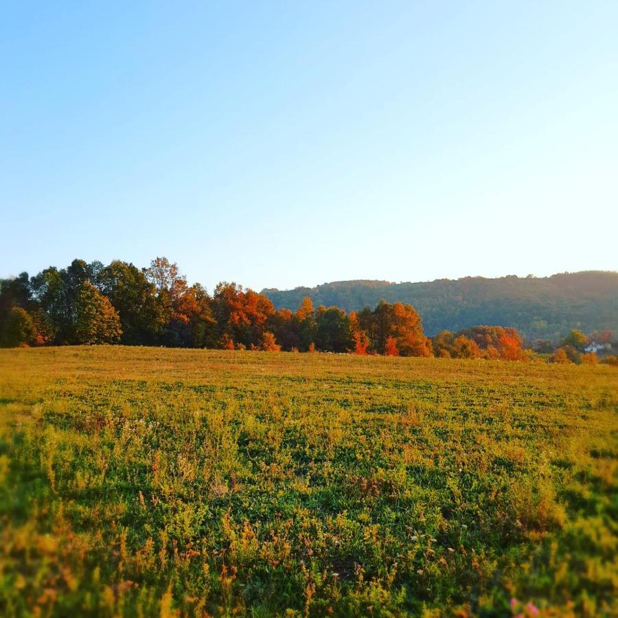 Apartamento Odmor Na Selu Babajic Ljig Exterior foto
